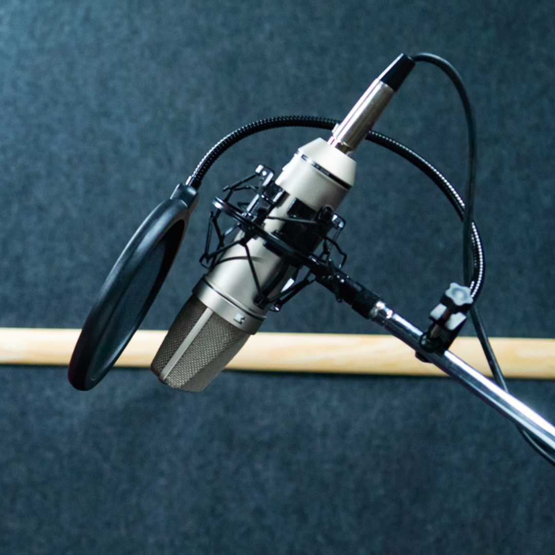 127 Top Dubbing Companies in the World - Voquent