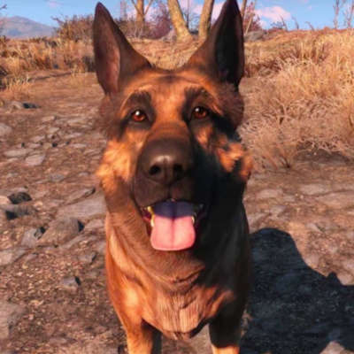 Dogmeat (River)