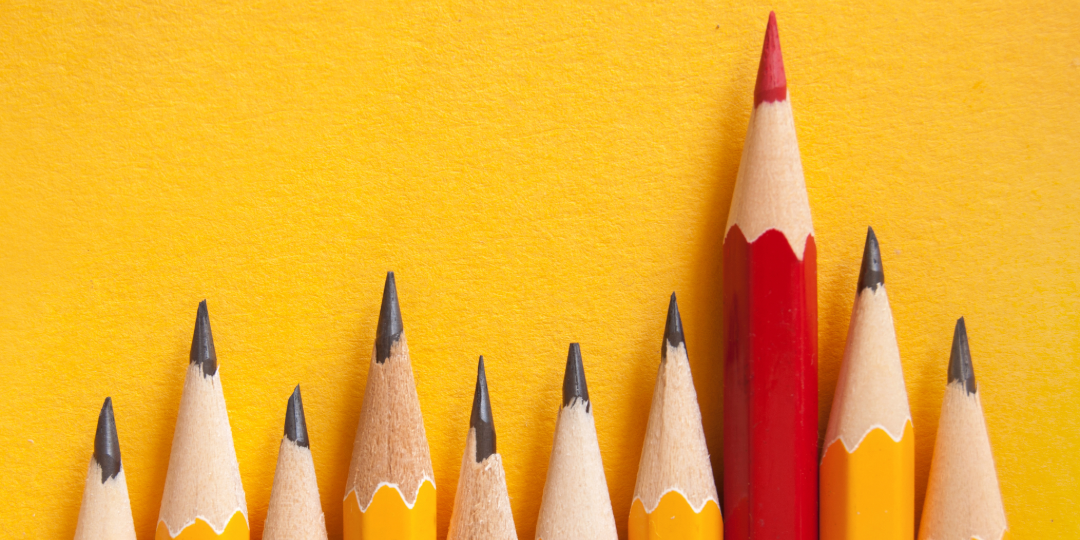 Line of matching yellow pencils, with one red pencil standing out from the rest. 