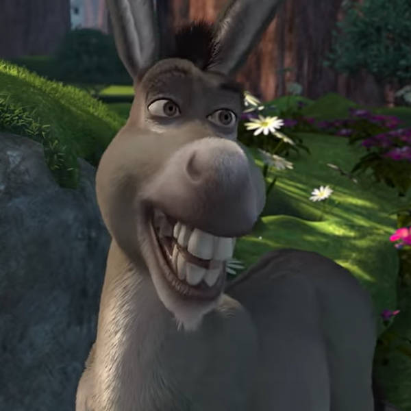 Meet the Donkey voice actor