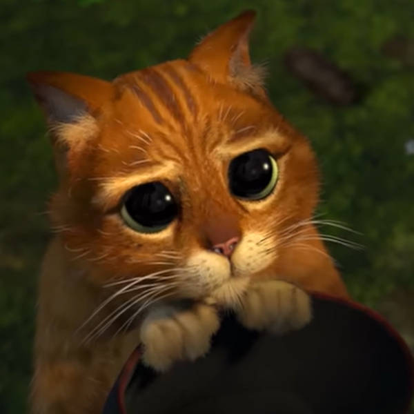 Meet the Puss in Boots voice actor