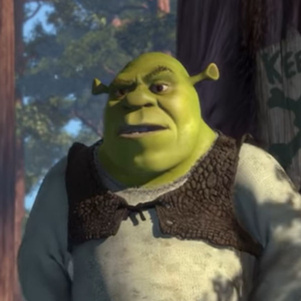 Meet the Shrek voice actor