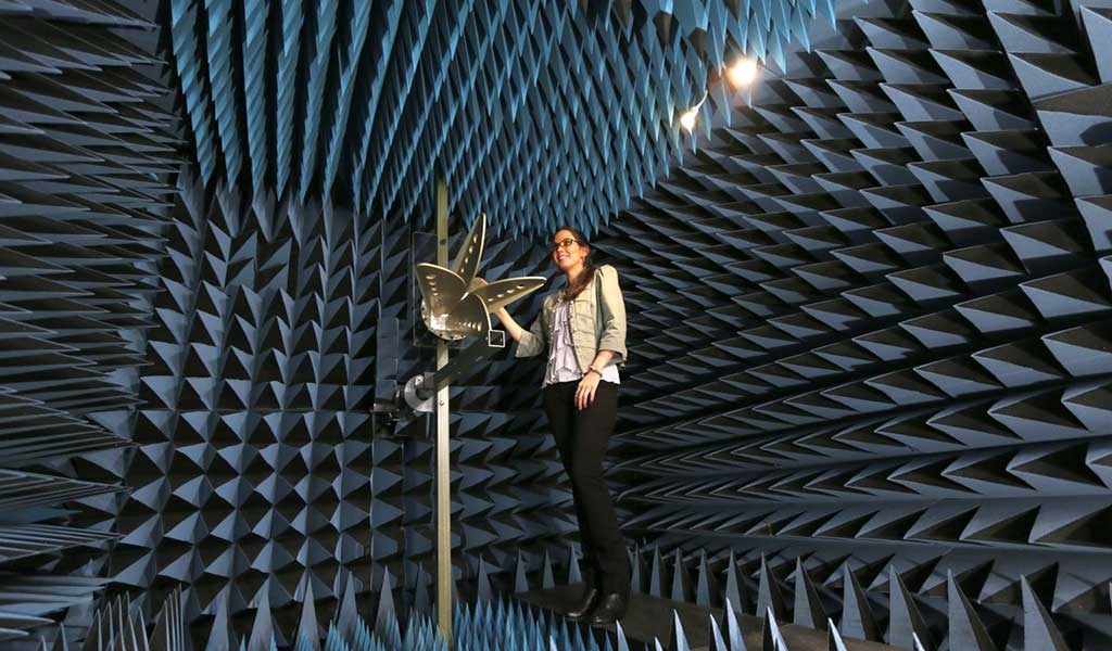 Anechoic chamber